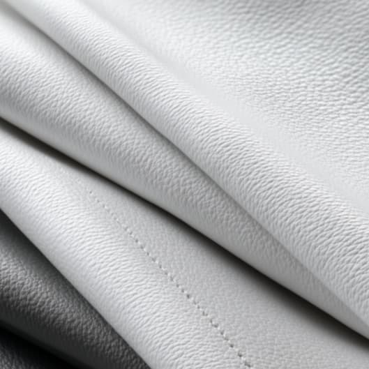 The Visyn Membership